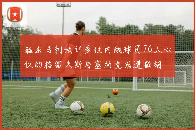 猛龙马刺试训多位内线球员76人心仪的格雷夫斯与塞纳克或遭截胡